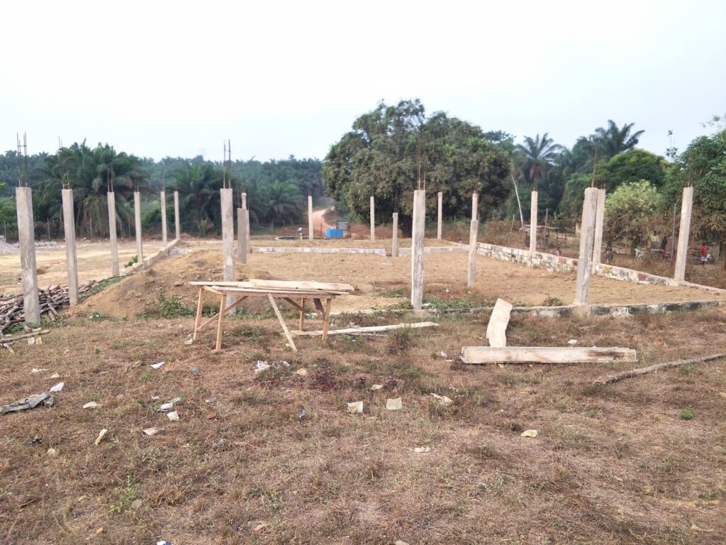 CASS school archive photograph — Auditorium Progress
