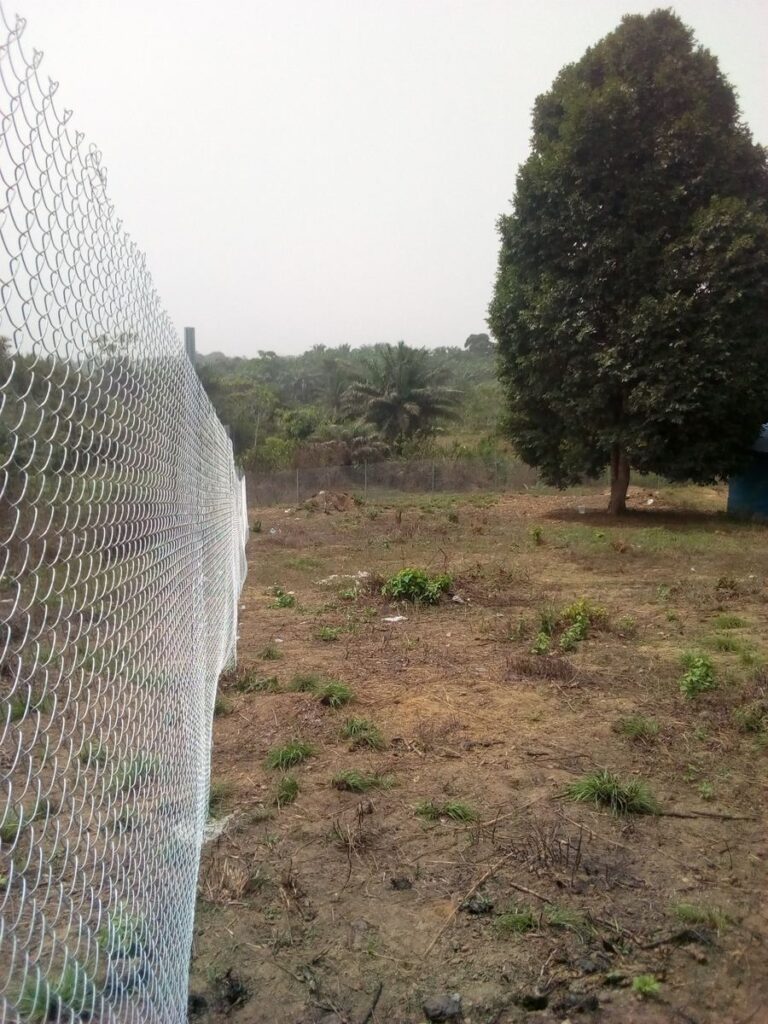 CASS school archive photograph — Fence Progress